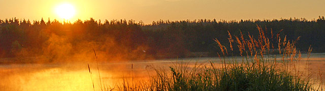 chovatelské a rybářské potřeby